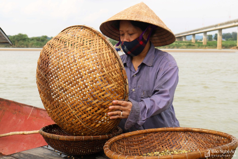 cào hến