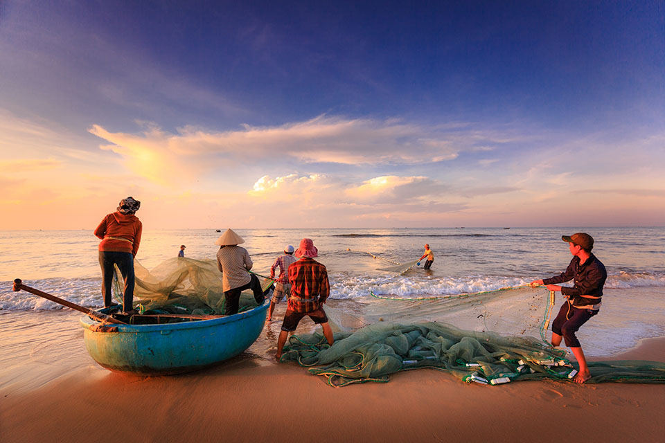 đánh bắt cá