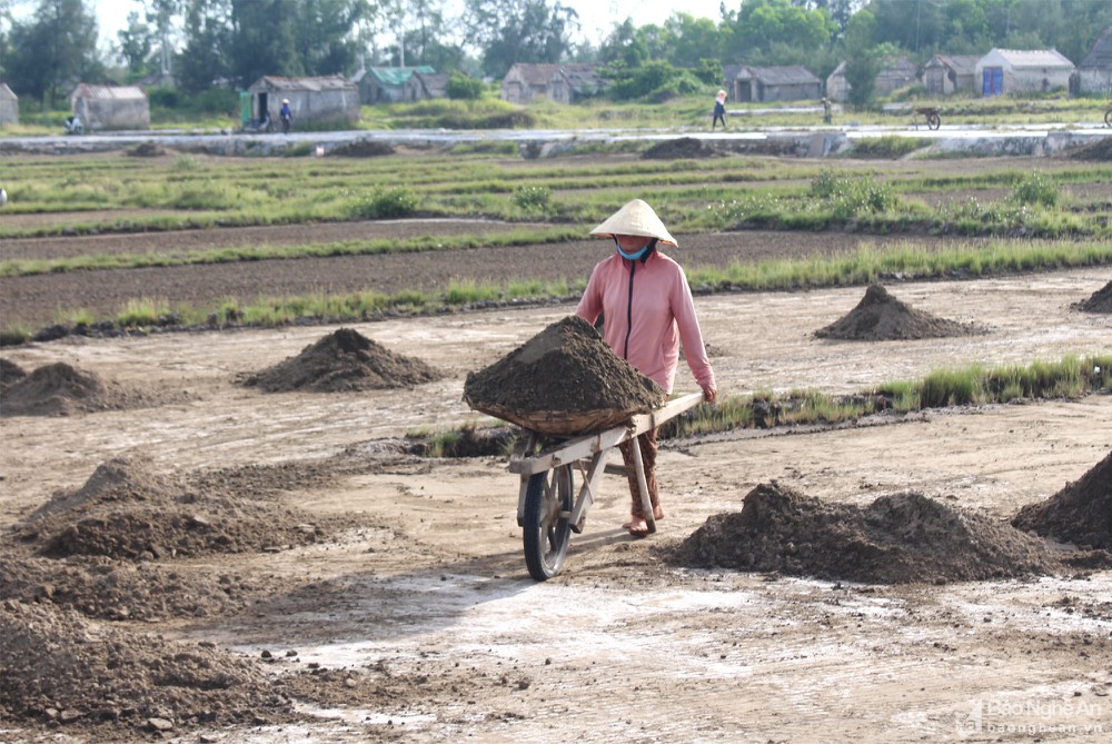 làm muối