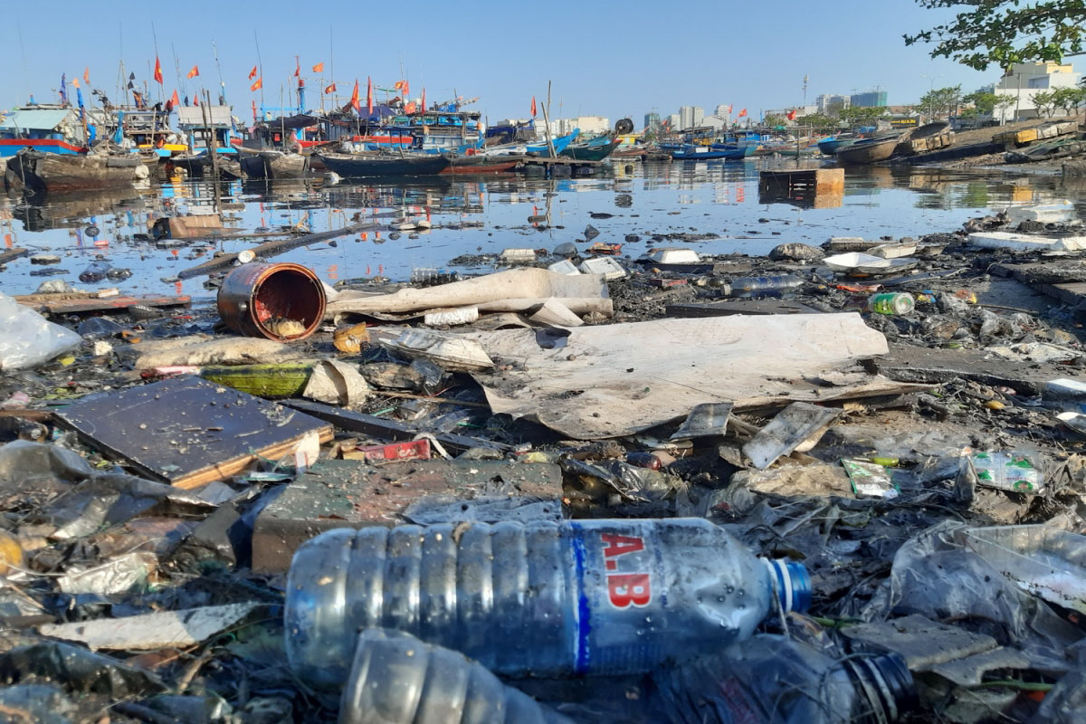 rác thải cảng cá
