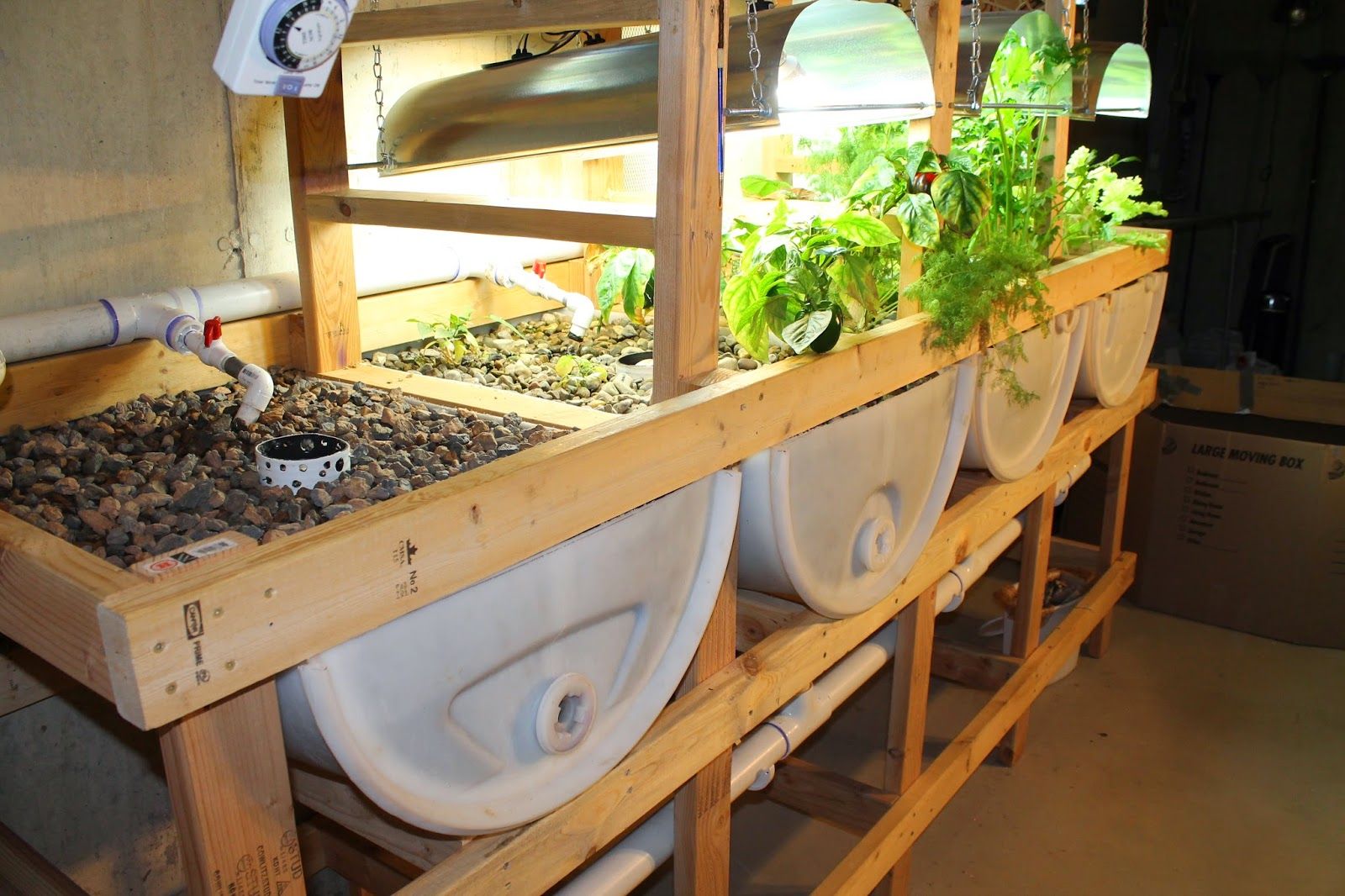 Hướng dẫn làm hệ thống Aquaponics tại nhà  Vật liệu Tạ Phú