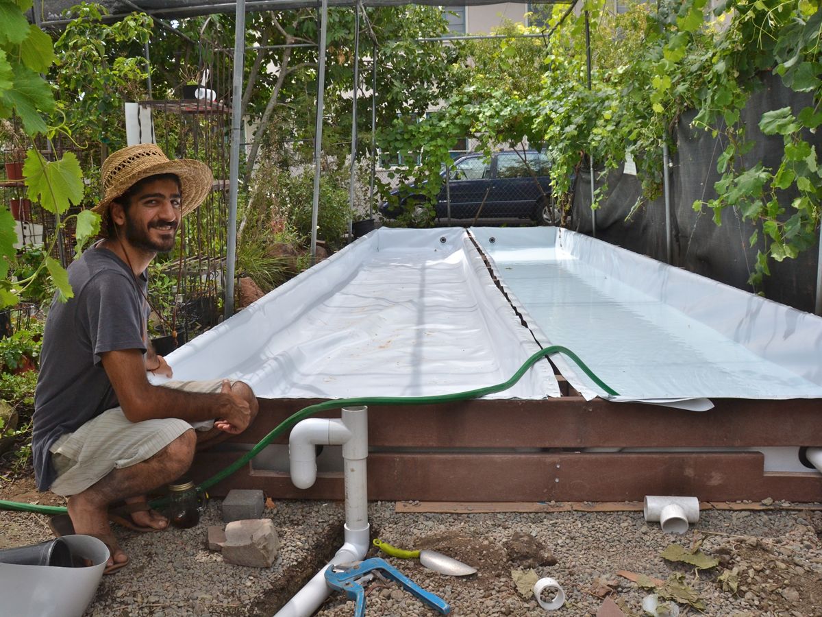 setup aquaponics