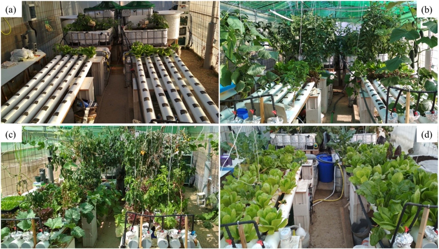 aquaponics đa canh