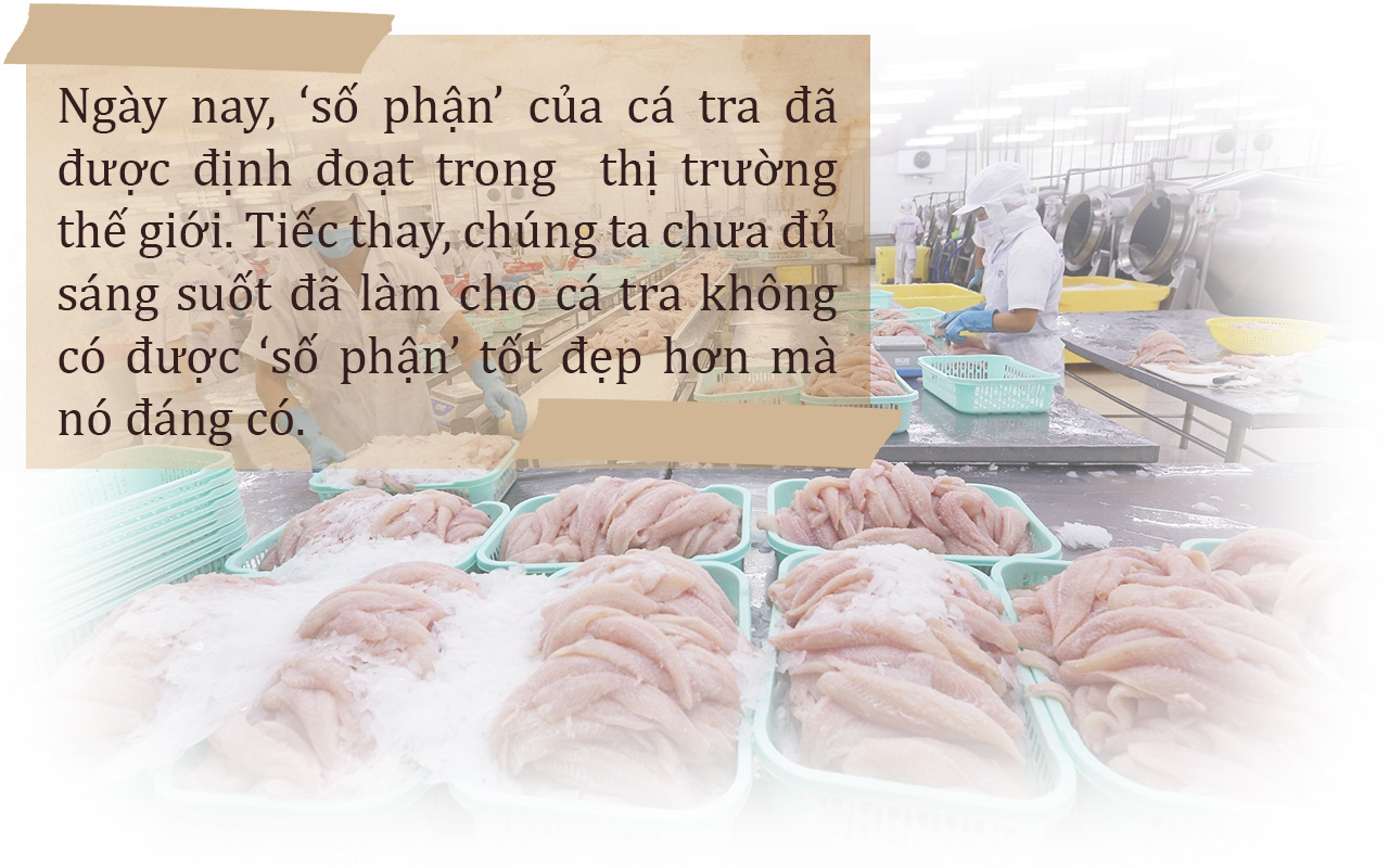 số phận cá tra trên thị trường