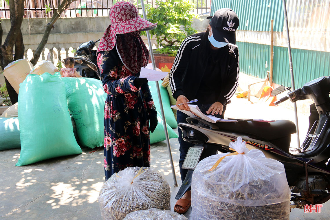 vận chuyển cá cơm