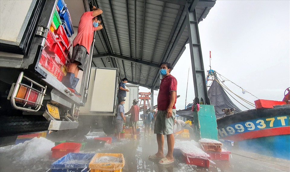 ngư dân tranh thủ bán hải sản cho các thương lái