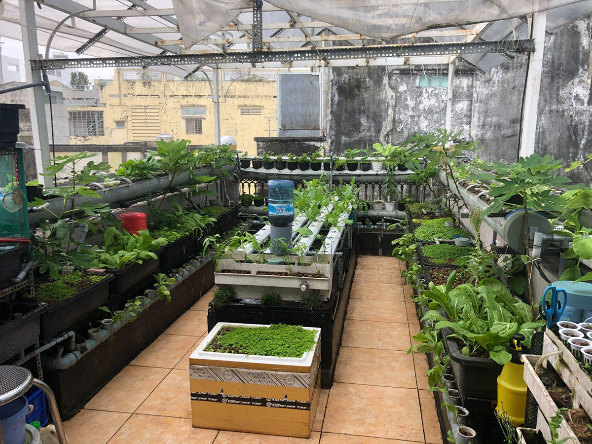 aquaponic