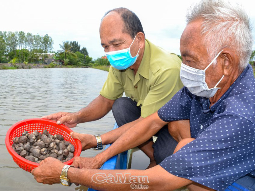 Vua sò huyết Nguyễn Mai Hằng