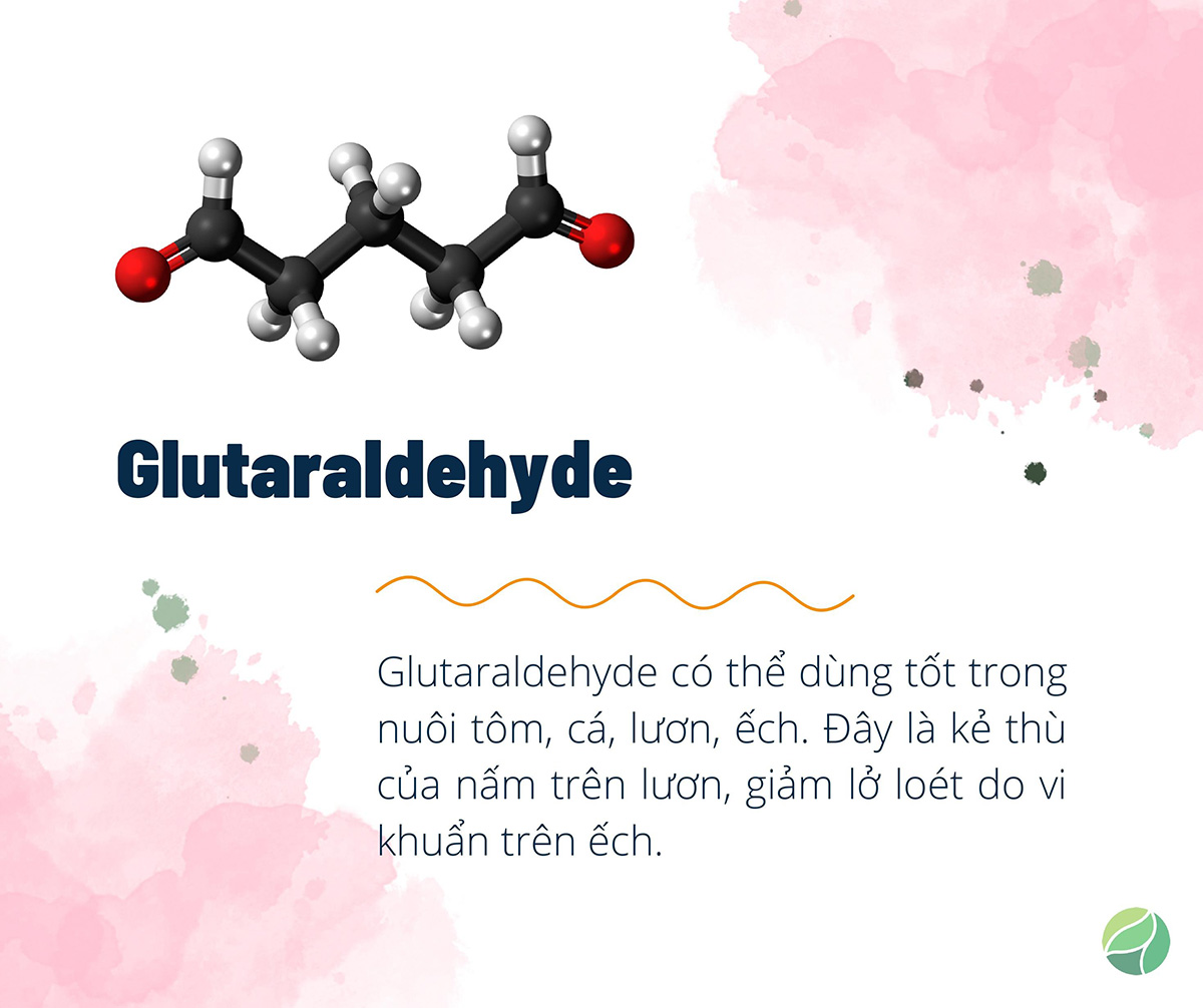 Glutaraldehyde