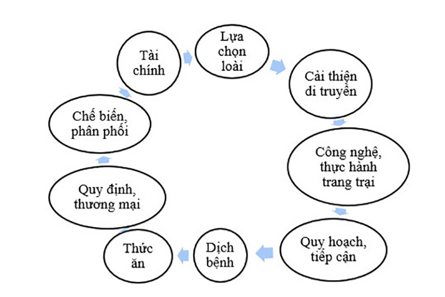 9 lĩnh vực cần quan tâm