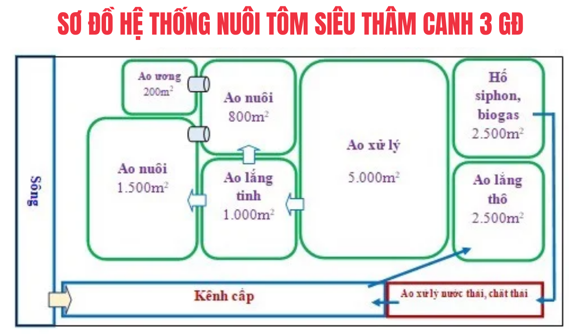  mô hình 3 giai đoạn