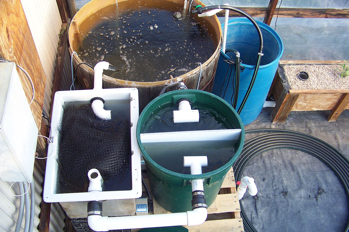 Hệ thống lọc Aquaponics 