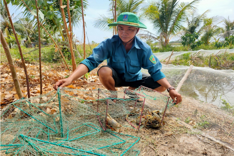  nuôi cua 2 giai đoạn