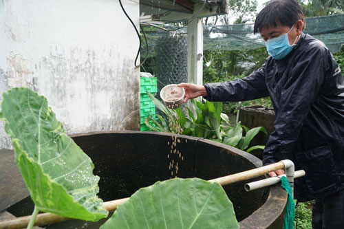 nhân giống cá linh