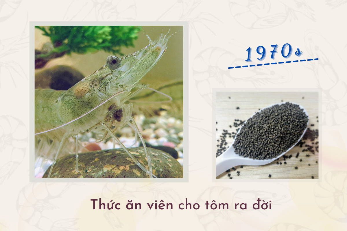 thức ăn cho tôm