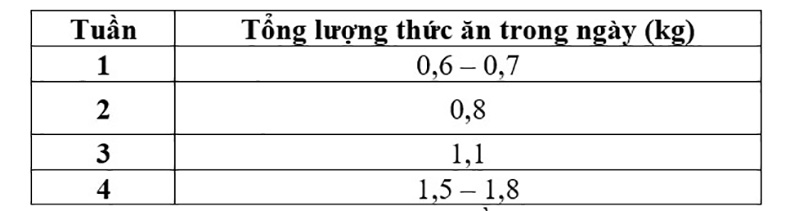 lượng thức ăn