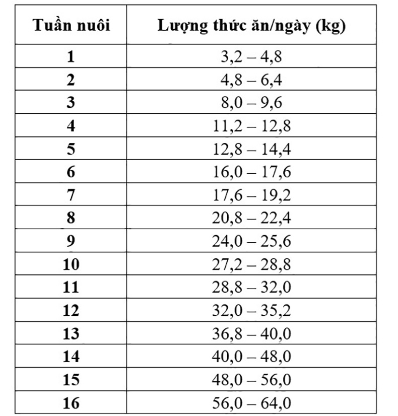 lượng thức ăn