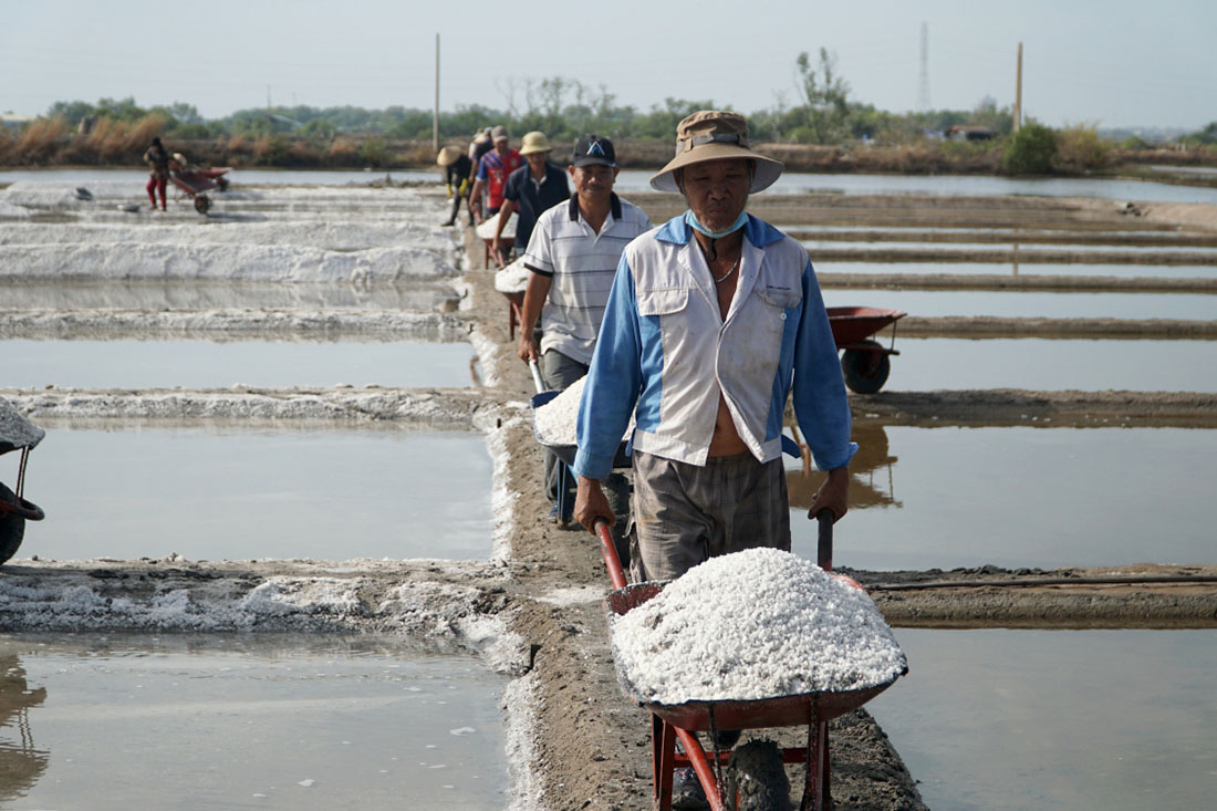 ruộng muối