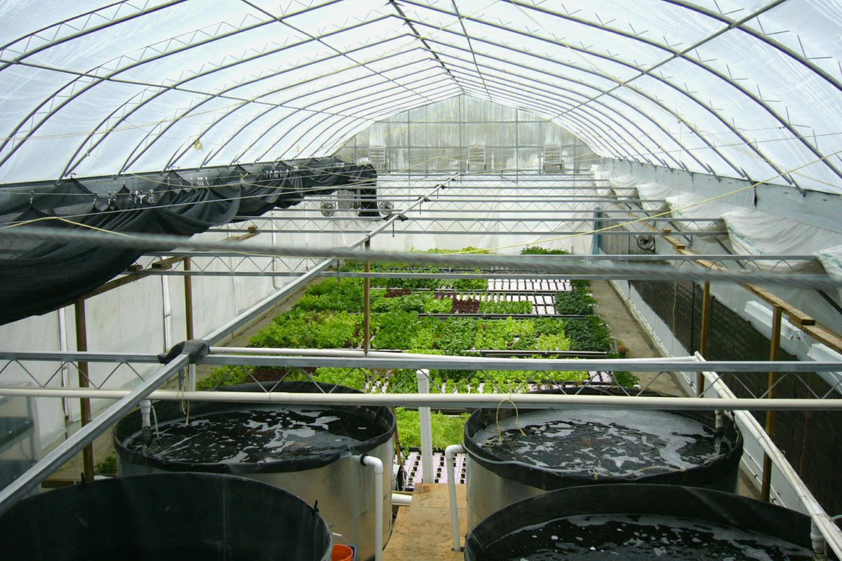 Aquaponics