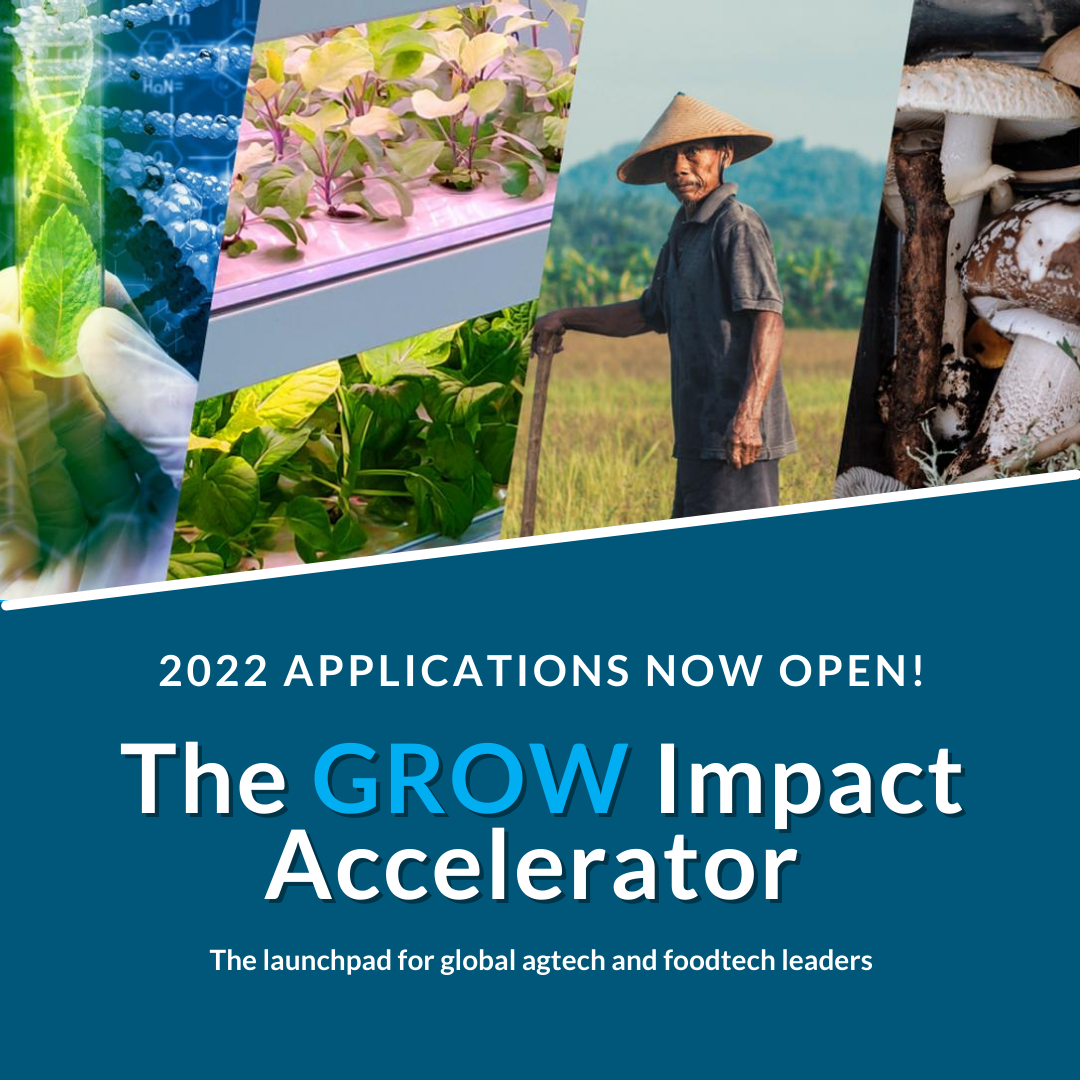 GROW Impact Accelerator