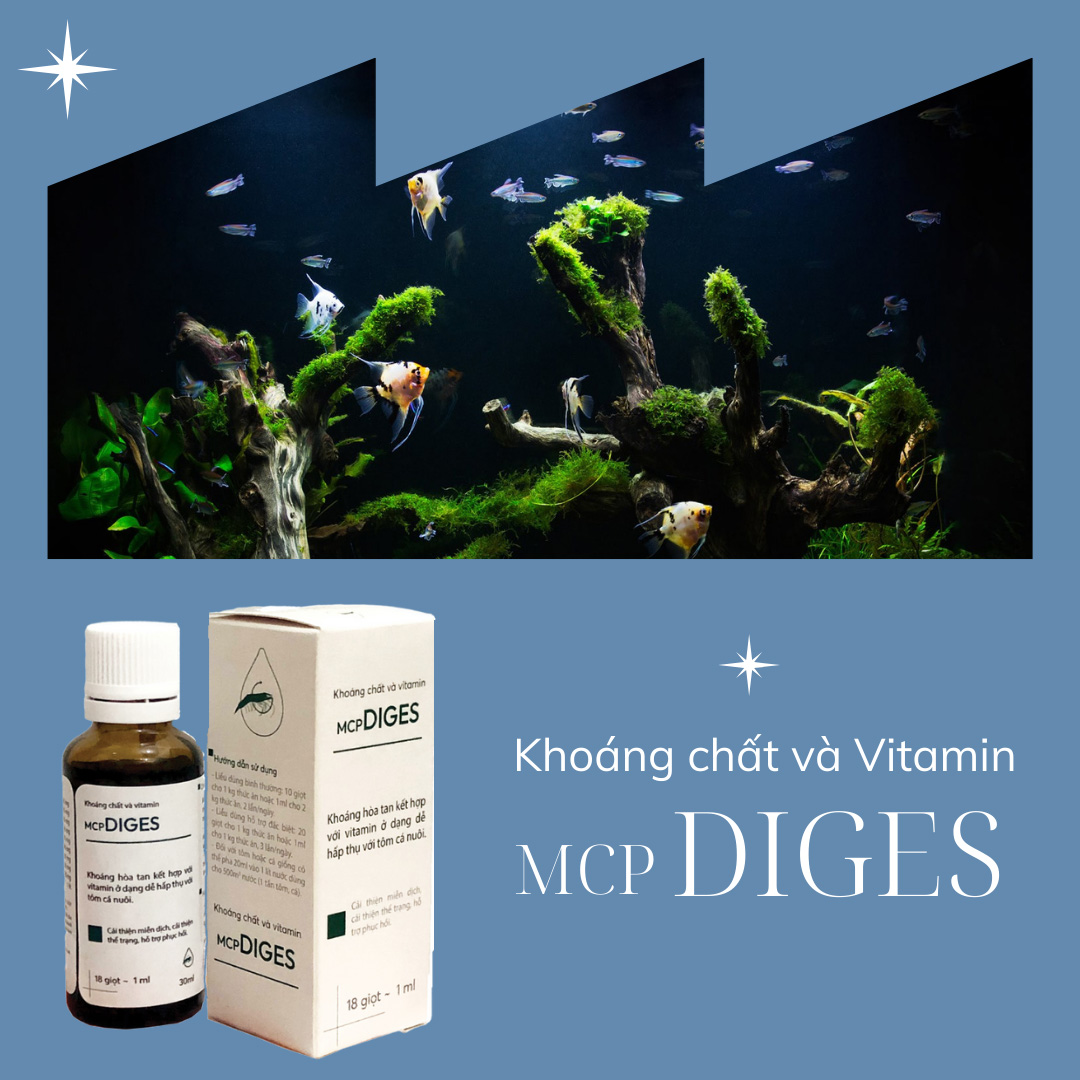 chất khoáng và vitamin