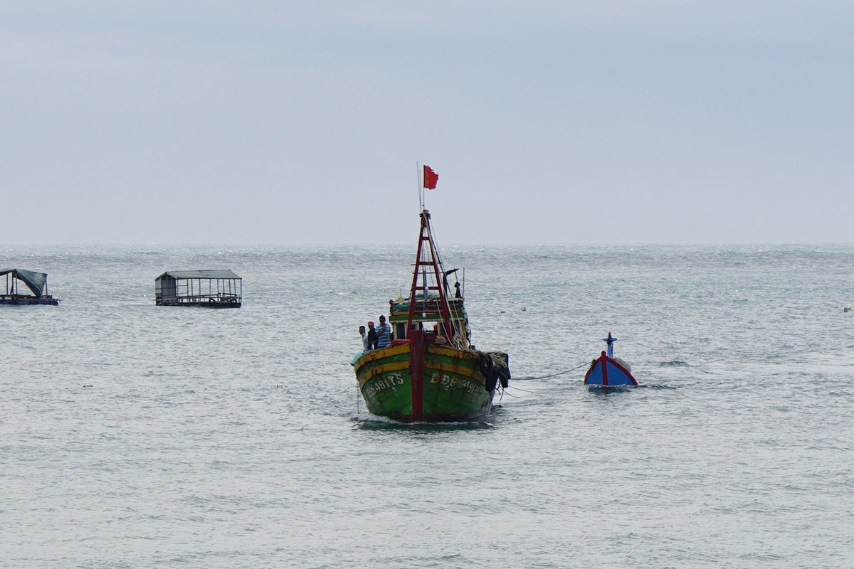 thiệt hại tàu thuyền