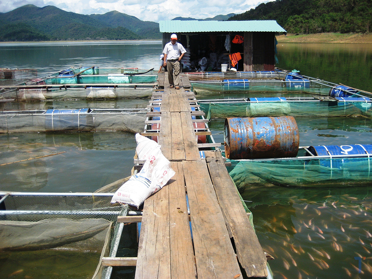 Hệ thống lồng nuôi