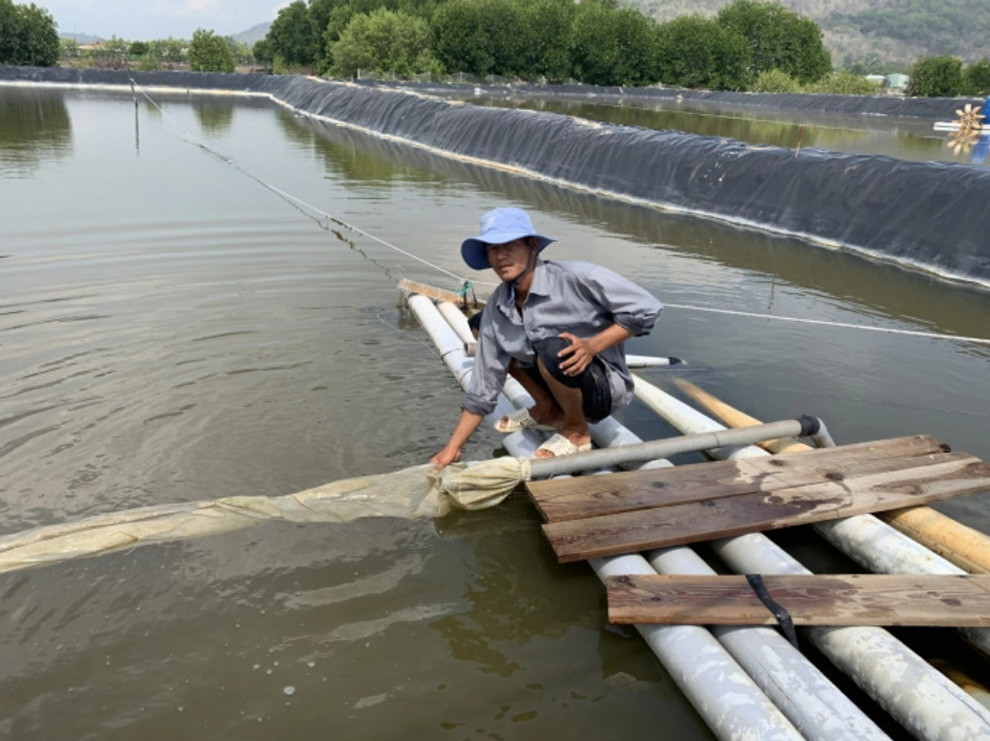 thu sinh khối luân trùng