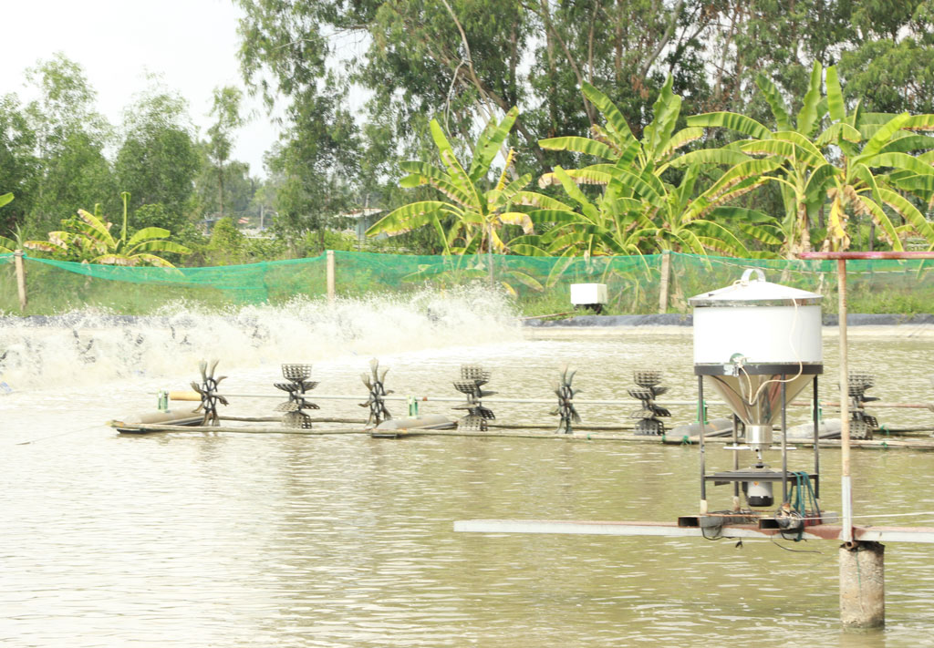 nuôi tôm công nghệ cao