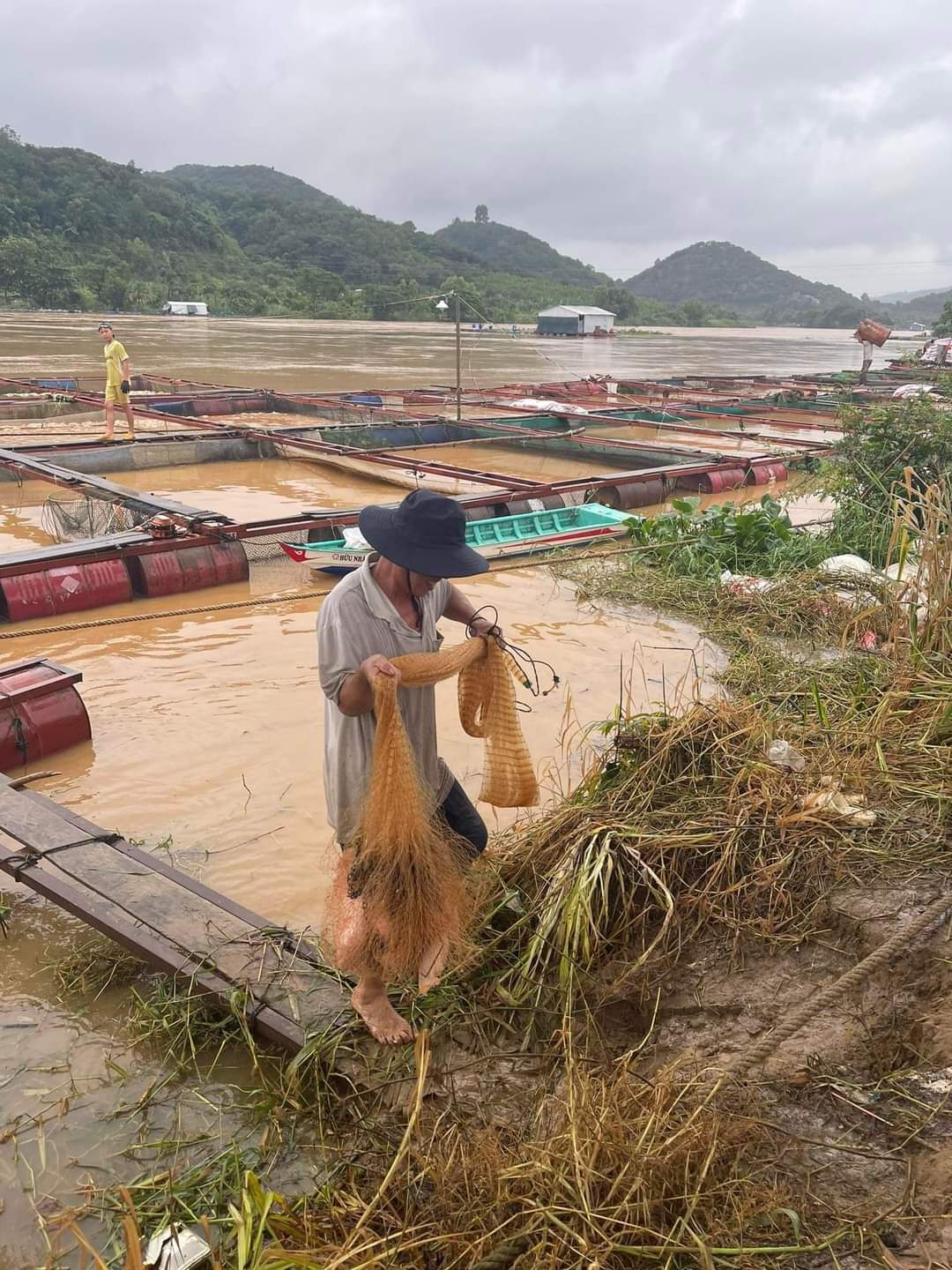 cá chết hàng loạt