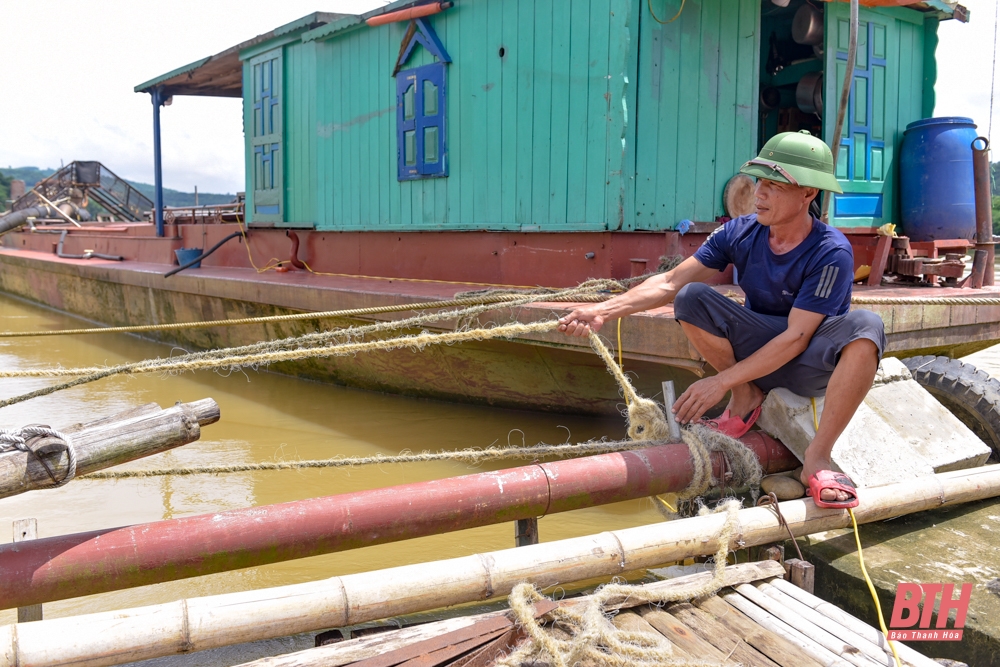 nghề nuôi cá lăng