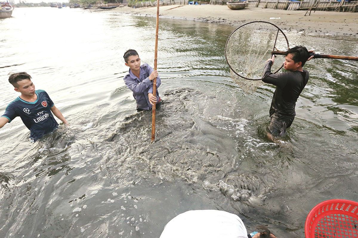 vớt sá sùng