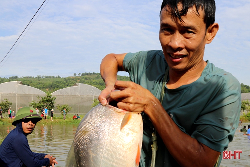 bắt cái dưới sông