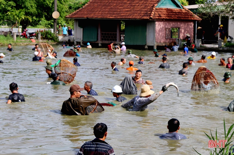 bắt cái dưới sông