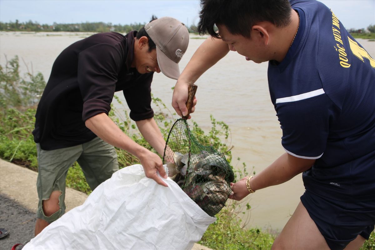 Bắt cá mang về