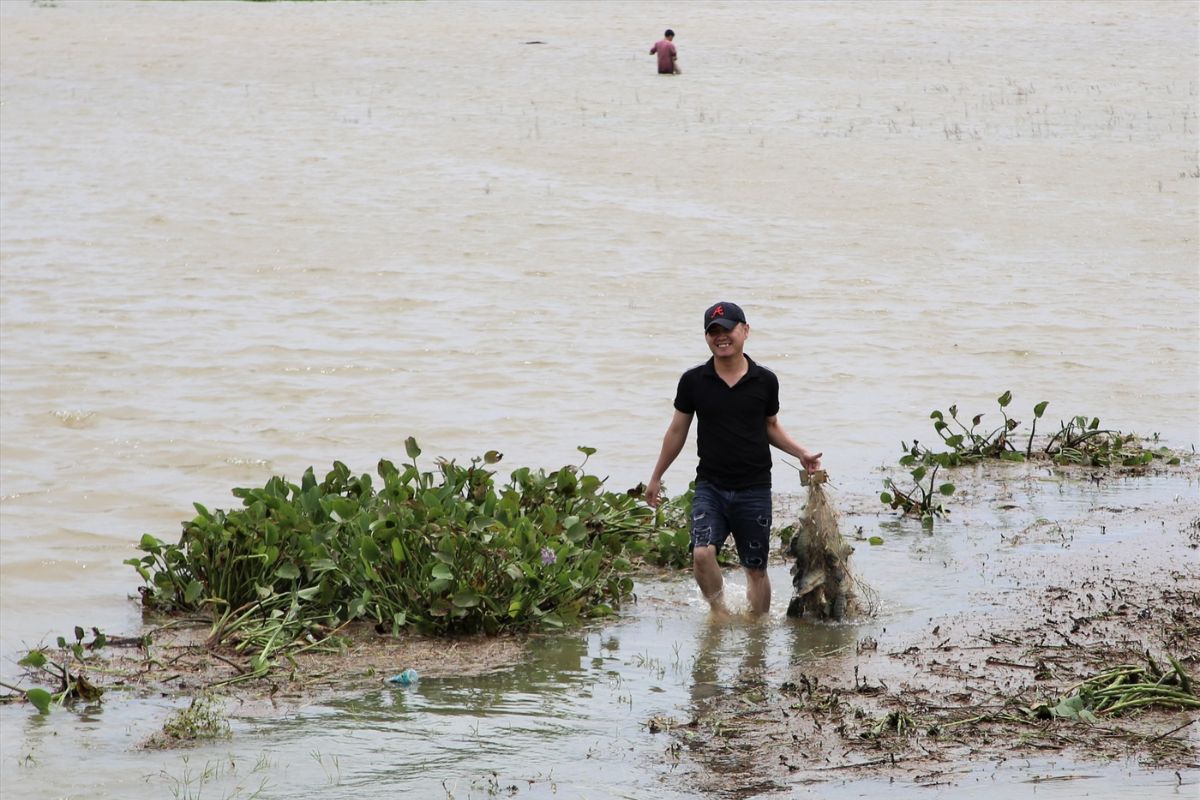 Bắt cá mang về