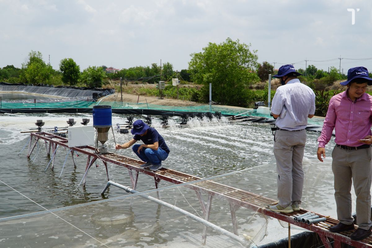 Sử dụng máy cho ăn