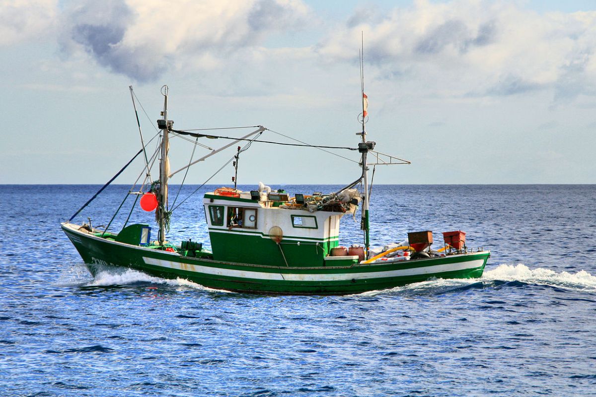 Tàu đánh bắt