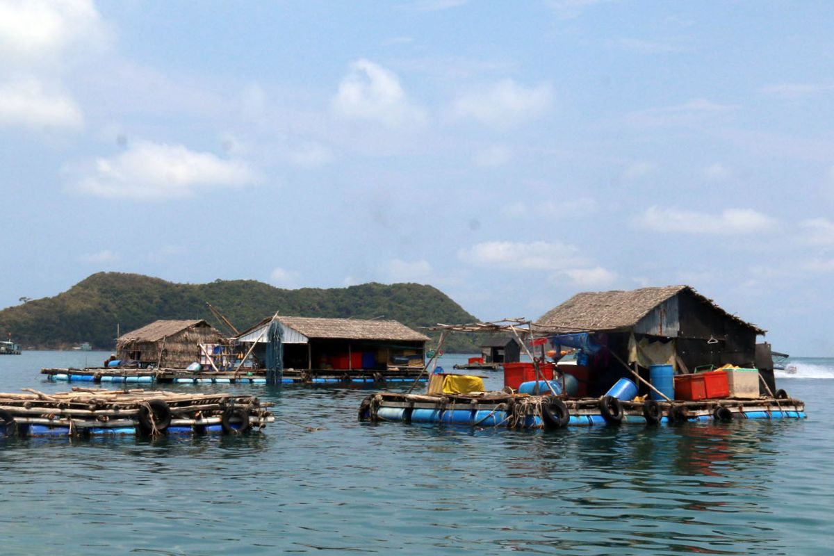 Lồng bè nuôi cá