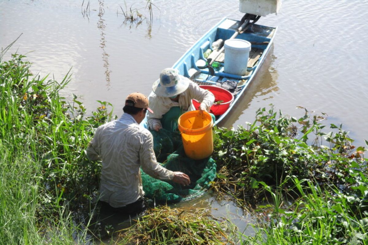 Đánh bắt