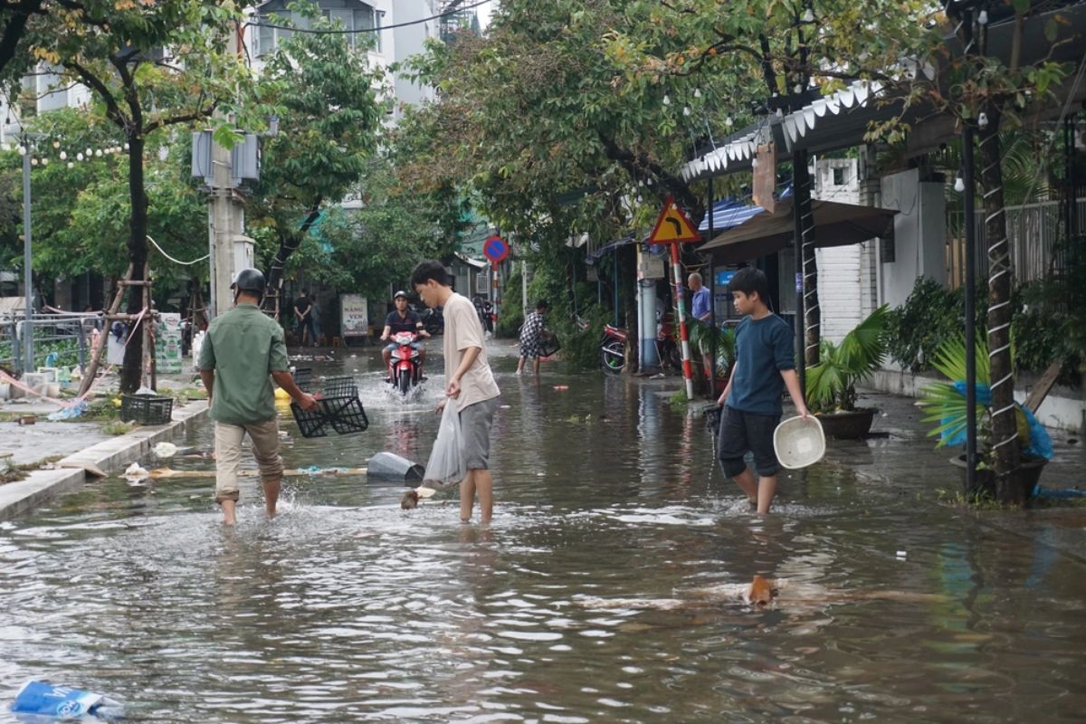 Mưa cá lớn xuất hiện