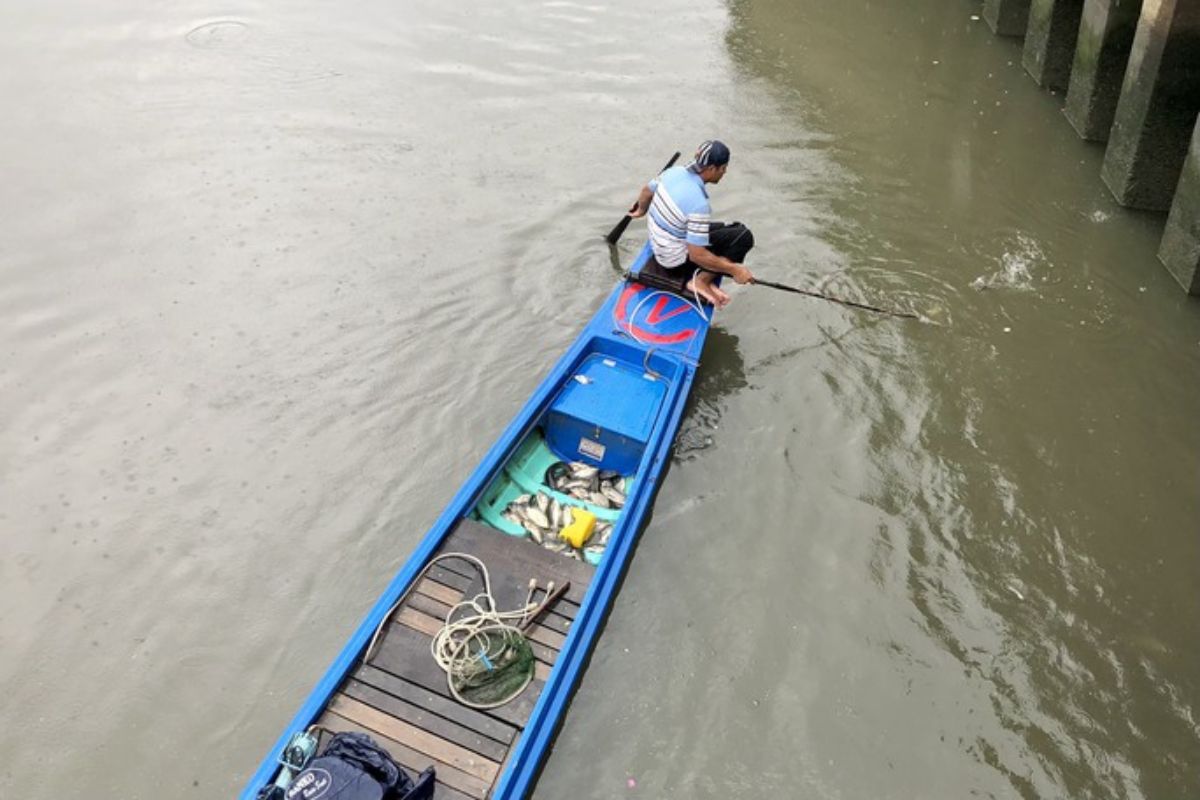 Ngang nhiên chích điện bắt cá trên kênh Nhiêu Lộc - Thị Nghè - Sửa Chữa ...