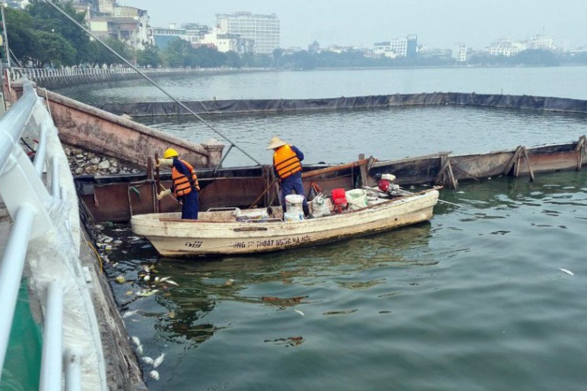 Khảo sát quanh hồ