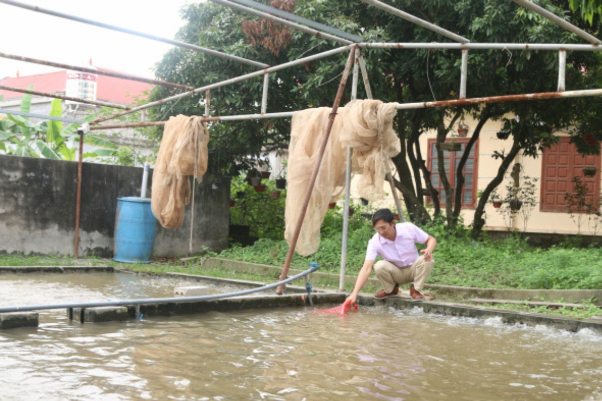 Khu vực ương tôm