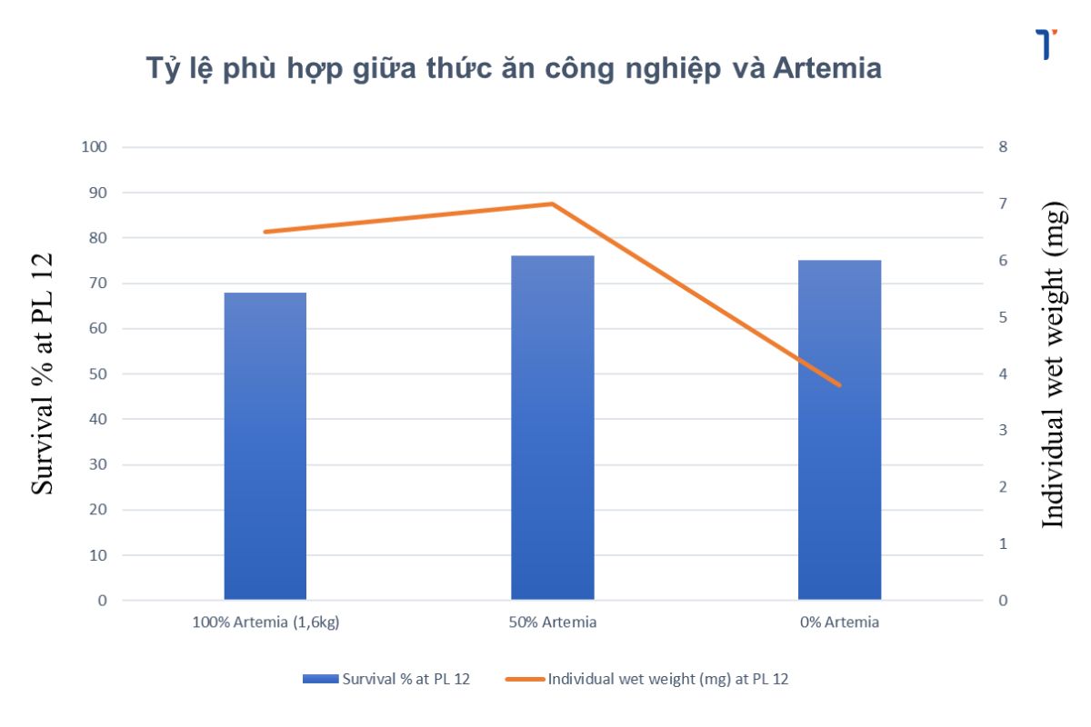 Tỷ lệ phù hợp giữa thức ăn công nghiệp và Artemia