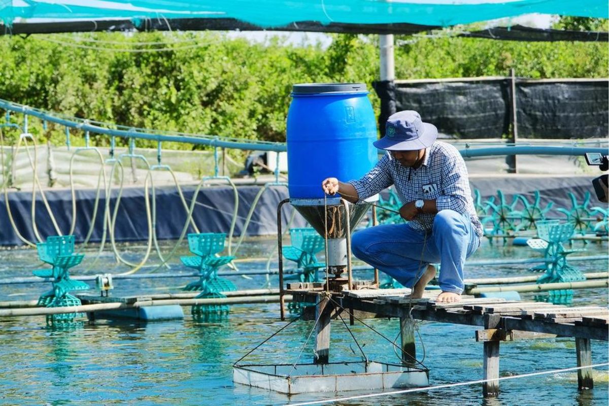 Anh Châu kiểm tra thức ăn