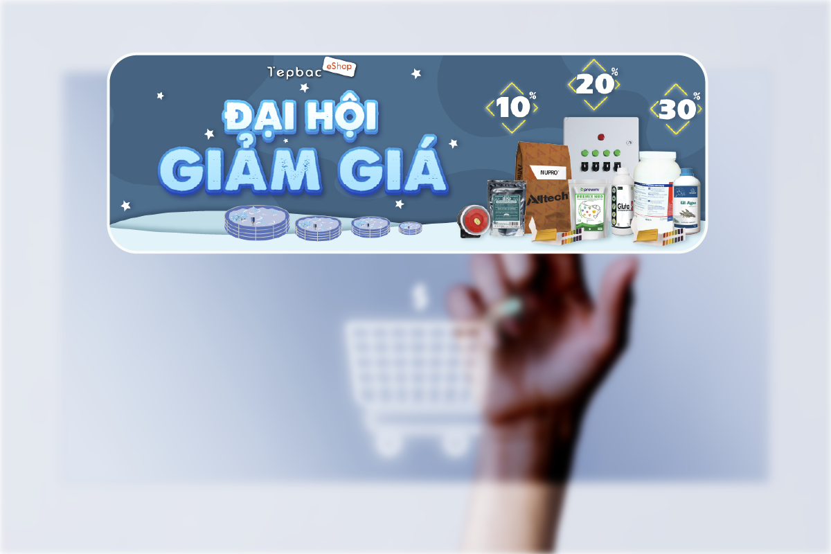 Đại hội giảm giá