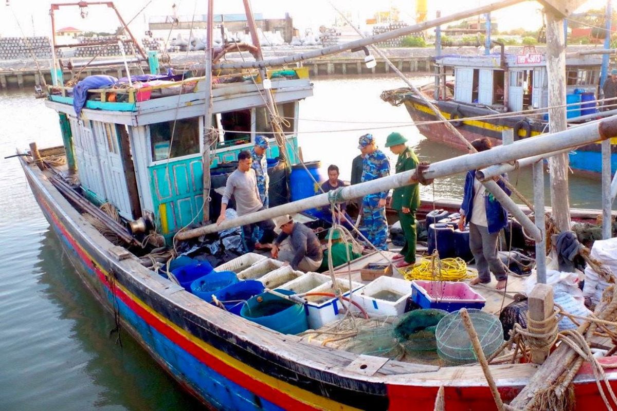 Quản lý tàu cá