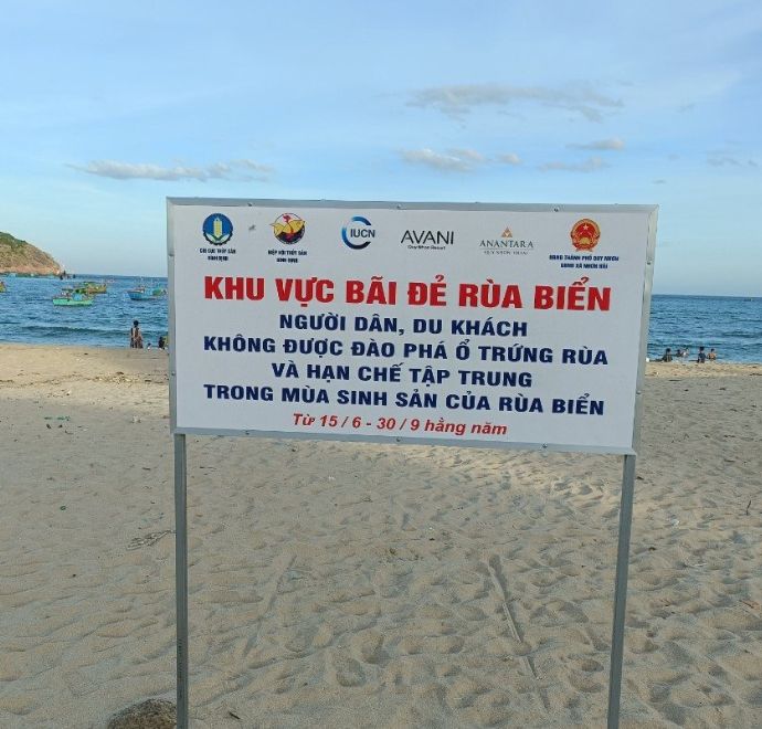 Khu bãi đẻ rùa biển