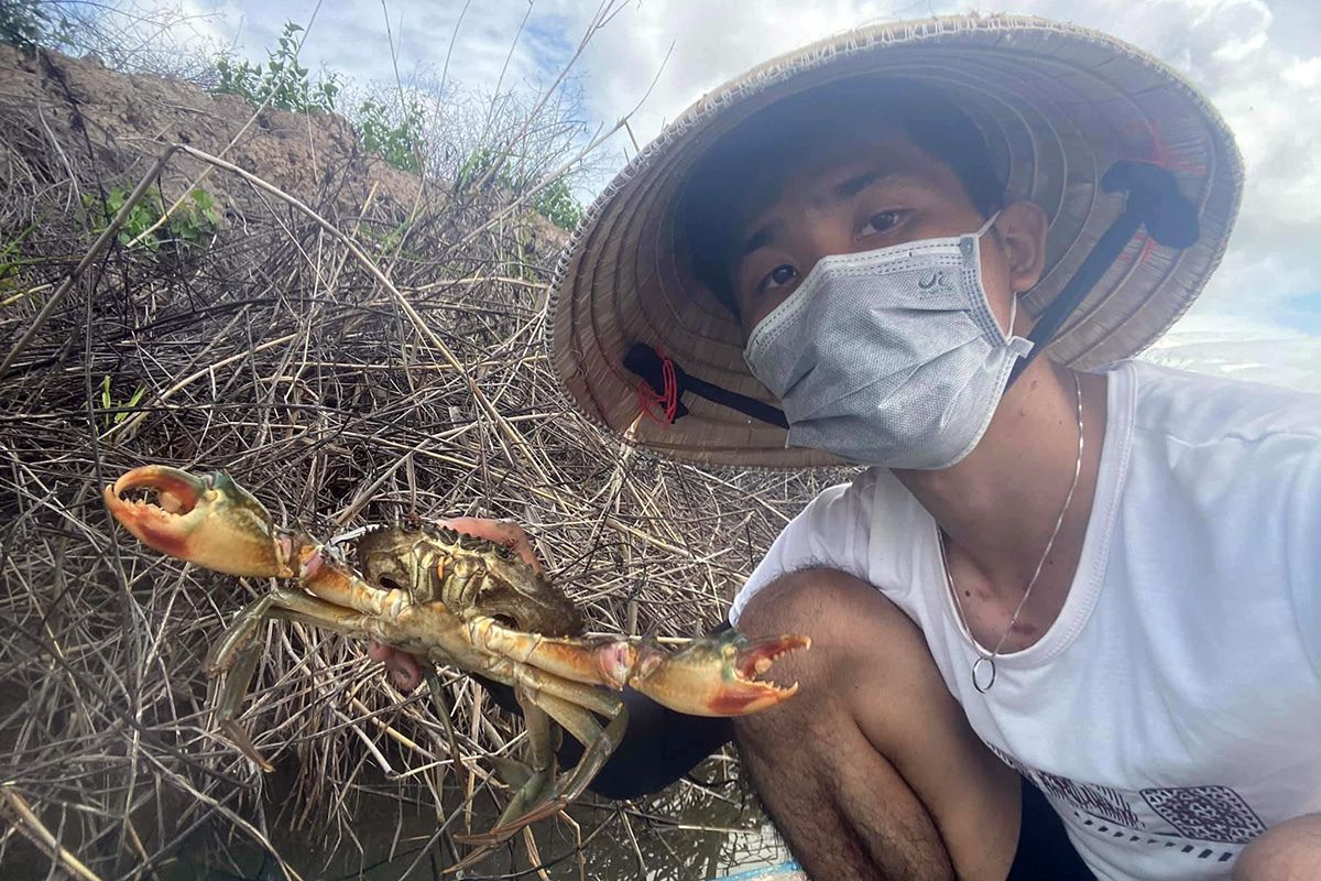 Cua Cà Mau chắc thịt